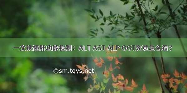 一文读懂肝功能检测：ALT AST ALP GGT究竟怎么看？