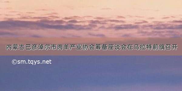 内蒙古巴彦淖尔市肉羊产业协会筹备座谈会在乌拉特前旗召开