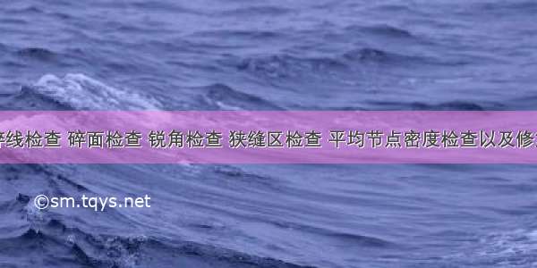 碎线检查 碎面检查 锐角检查 狭缝区检查 平均节点密度检查以及修复