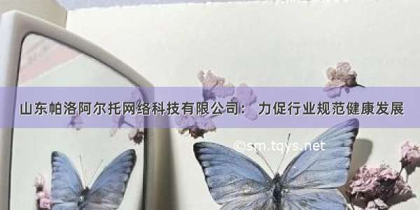 山东帕洛阿尔托网络科技有限公司： 力促行业规范健康发展