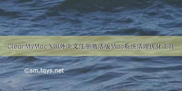 CleanMyMac X国外中文注册激活版Mac系统清理优化工具