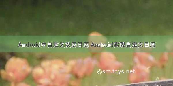 Android中自定义农历日历 Android实现自定义日历