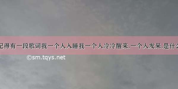 我记得有一段歌词我一个人入睡我一个人冷冷醒来.一个人发呆.是什么歌