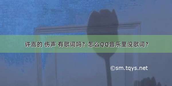 许嵩的 伤声 有歌词吗？怎么QQ音乐里没歌词？