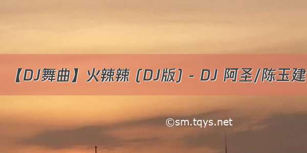 【DJ舞曲】火辣辣 (DJ版) - DJ 阿圣/陈玉建