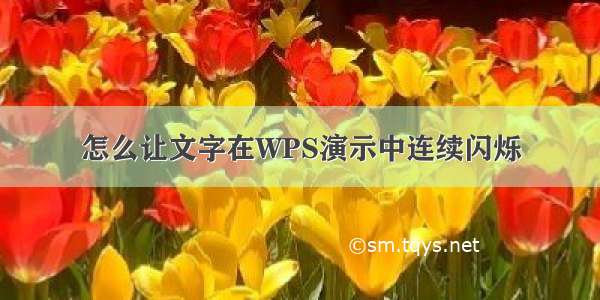 怎么让文字在WPS演示中连续闪烁