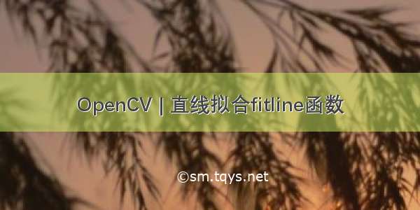 OpenCV | 直线拟合fitline函数