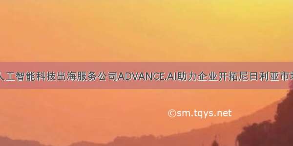 人工智能科技出海服务公司ADVANCE.AI助力企业开拓尼日利亚市场