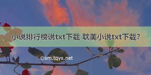 小说排行榜说txt下载 耽美小说txt下载？