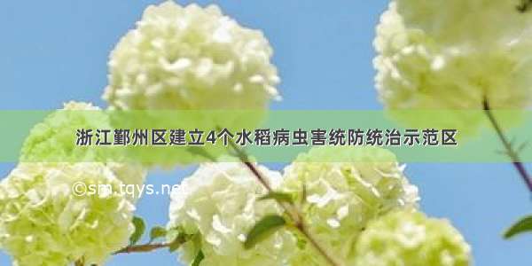 浙江鄞州区建立4个水稻病虫害统防统治示范区