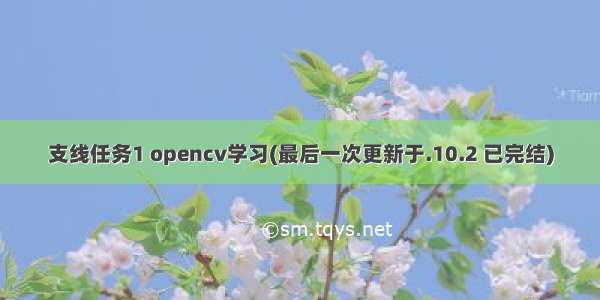 支线任务1 opencv学习(最后一次更新于.10.2 已完结)