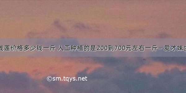 金线莲价格多少钱一斤 人工种植的是200到700元左右一斤— 爱才妹生活