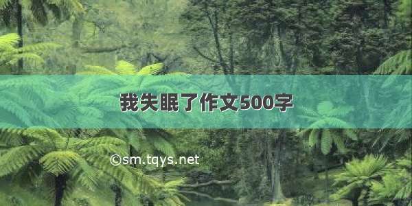 我失眠了作文500字