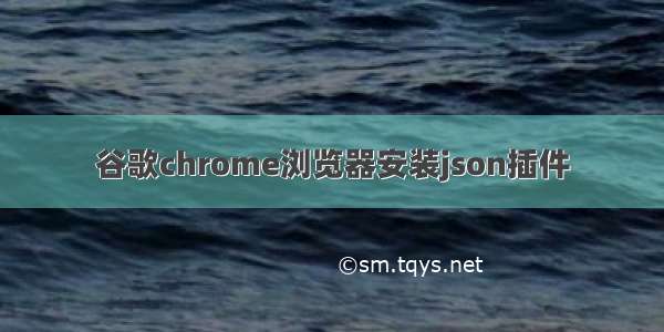 谷歌chrome浏览器安装json插件