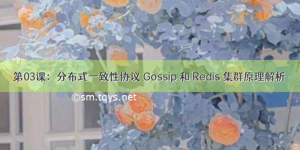 第03课：分布式一致性协议 Gossip 和 Redis 集群原理解析