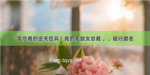 女总裁的逆天狂兵 / 我的无敌女总裁 。。砥行磨名