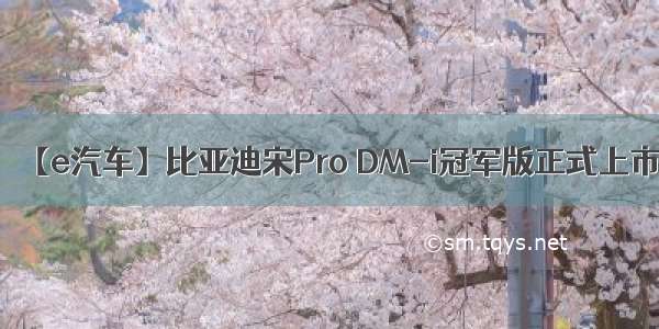 【e汽车】比亚迪宋Pro DM-i冠军版正式上市