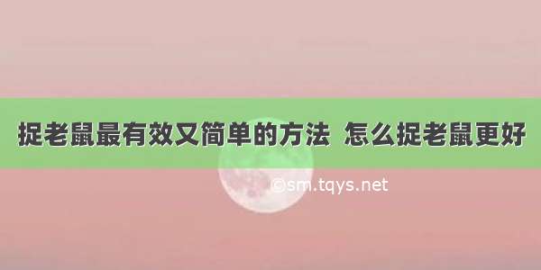 捉老鼠最有效又简单的方法  怎么捉老鼠更好