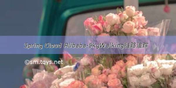Spring Cloud Alibaba-SkyWalking链路追踪