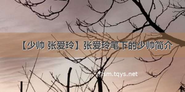 【少帅 张爱玲】张爱玲笔下的少帅简介