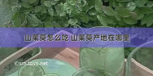 山茱萸怎么吃 山茱萸产地在哪里