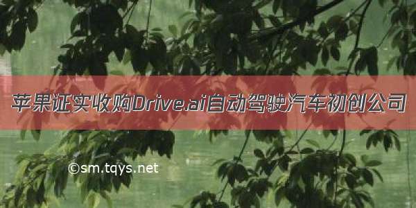 苹果证实收购Drive.ai自动驾驶汽车初创公司