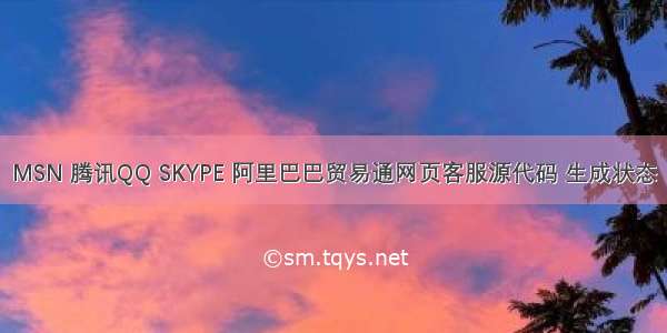 MSN 腾讯QQ SKYPE 阿里巴巴贸易通网页客服源代码 生成状态