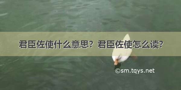 君臣佐使什么意思？君臣佐使怎么读？