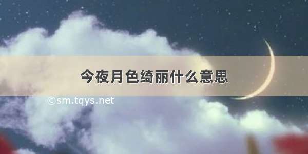 今夜月色绮丽什么意思