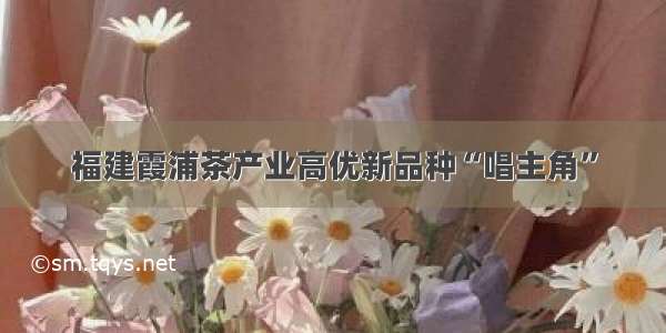 福建霞浦茶产业高优新品种“唱主角”