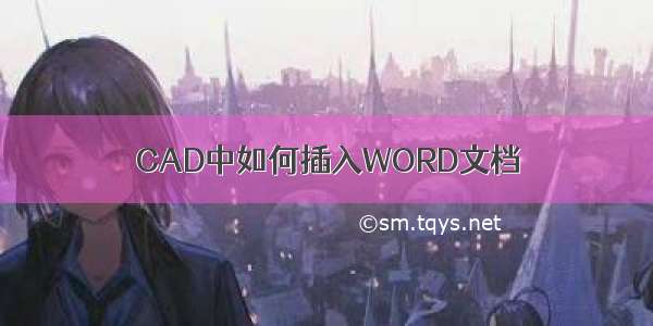 CAD中如何插入WORD文档