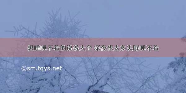 想睡睡不着的说说大全 深夜想太多失眠睡不着