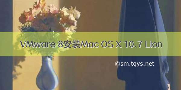 VMware 8安装Mac OS X 10.7 Lion