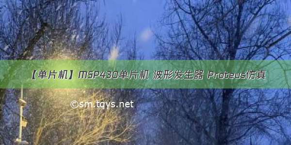 【单片机】MSP430单片机 波形发生器 Proteus仿真