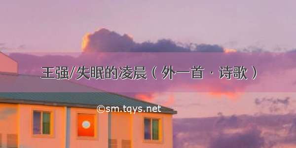 王强/失眠的凌晨（外一首·诗歌）