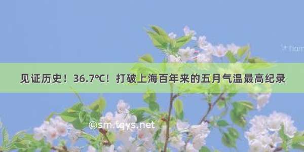 见证历史！36.7℃！打破上海百年来的五月气温最高纪录