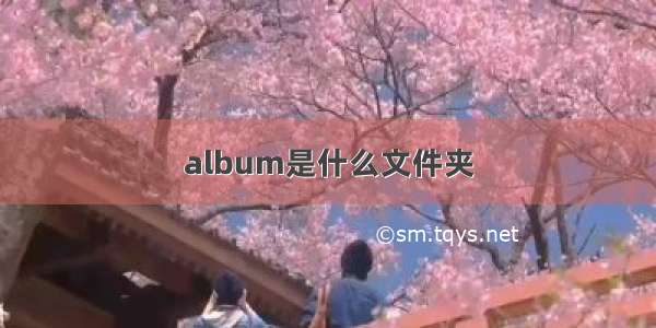 album是什么文件夹