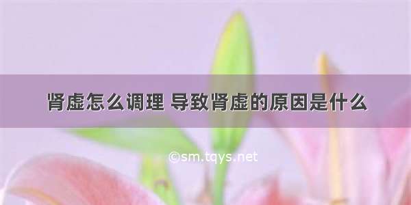 肾虚怎么调理 导致肾虚的原因是什么