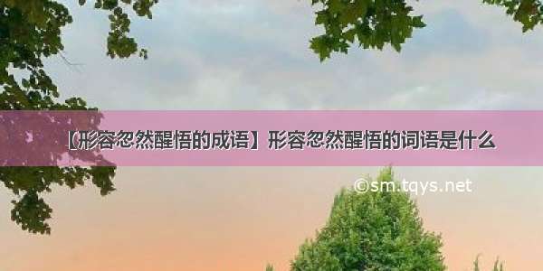 【形容忽然醒悟的成语】形容忽然醒悟的词语是什么