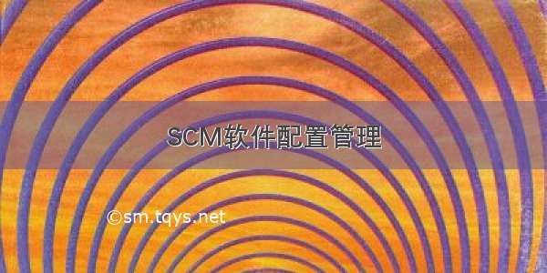 SCM软件配置管理