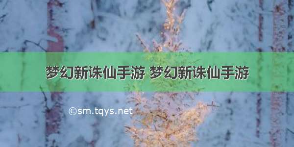 梦幻新诛仙手游 梦幻新诛仙手游