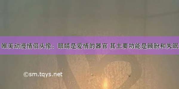 唯美动漫情侣头像：眼睛是爱情的器官 其主要功能是顾盼和失眠