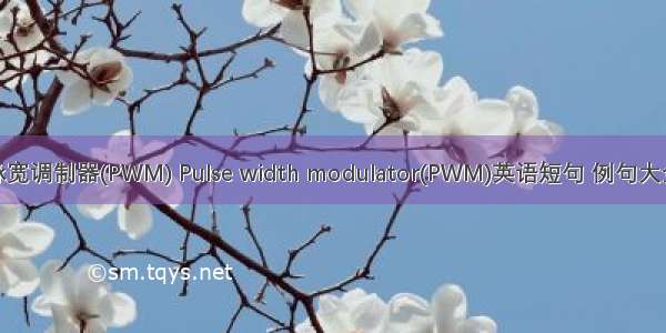 脉宽调制器(PWM) Pulse width modulator(PWM)英语短句 例句大全