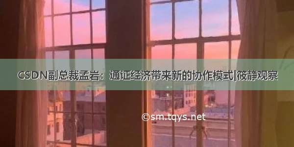 CSDN副总裁孟岩：通证经济带来新的协作模式|筱静观察