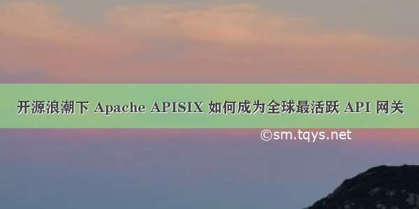 开源浪潮下 Apache APISIX 如何成为全球最活跃 API 网关