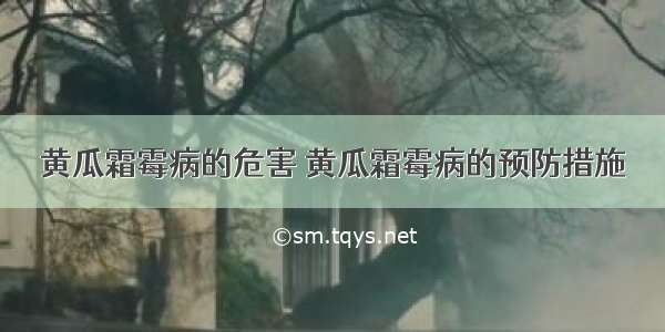 黄瓜霜霉病的危害 黄瓜霜霉病的预防措施