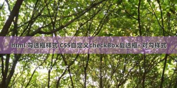 html 勾选框样式 CSS自定义checkBox复选框- 对勾样式