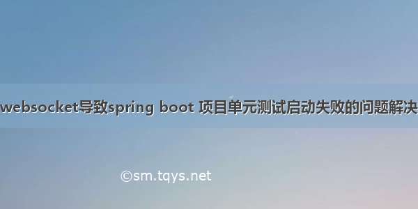 websocket导致spring boot 项目单元测试启动失败的问题解决