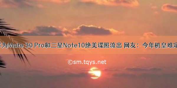 华为Mate 30 Pro和三星Note10绝美谍照流出 网友：今年机皇难定