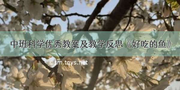 中班科学优秀教案及教学反思《好吃的鱼》